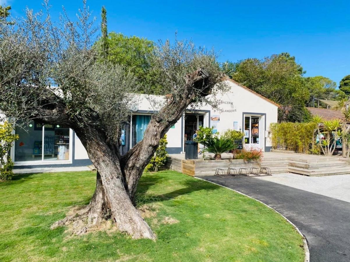Mobilhomes De Pierrot Argelès-sur-Mer Exterior foto